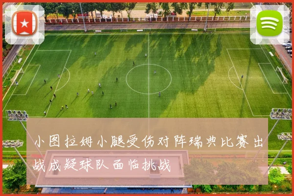 小图拉姆小腿受伤对阵瑞典比赛出战成疑球队面临挑战