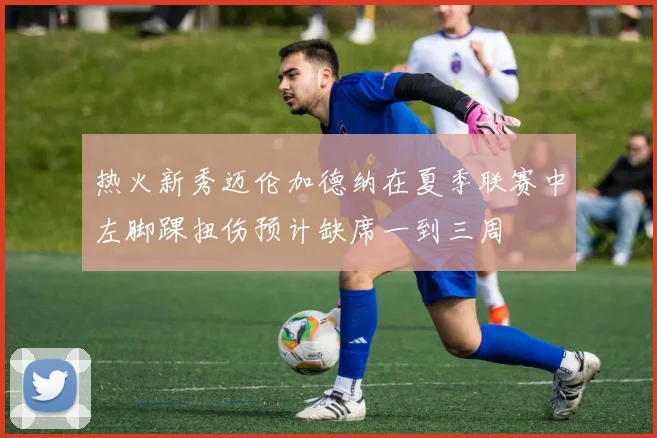 热火新秀迈伦加德纳在夏季联赛中左脚踝扭伤预计缺席一到三周