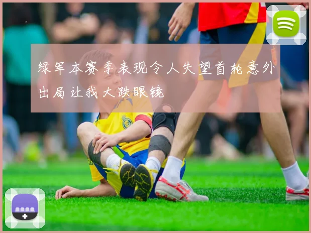 绿军本赛季表现令人失望首轮意外出局让我大跌眼镜